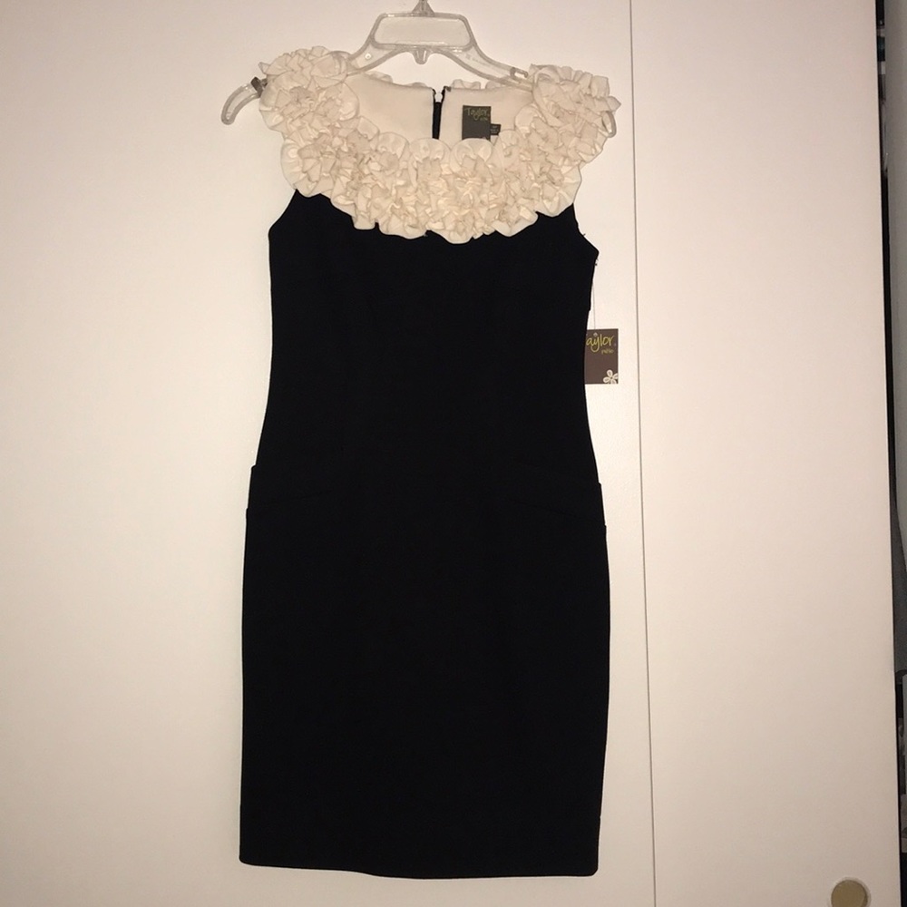 NEW WITH TAGS Taylor Dress